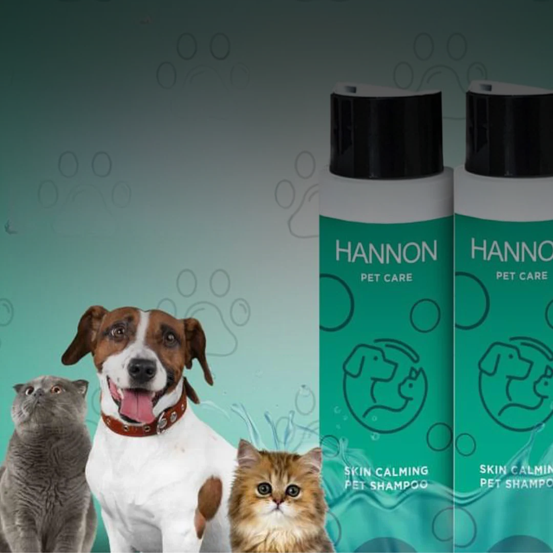 PET CARE